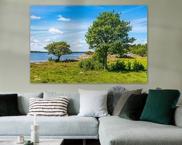 Oostzeekust met bomen op het eiland Sladö in Zweden van Rico Ködder