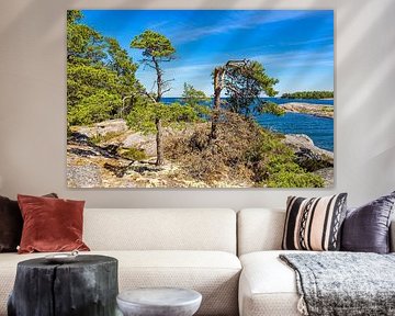 Ostseeküste mit Felsen und Bäumen auf der Insel Sladö in Schw