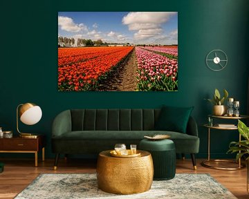 Landscape tulip field by Marloes Hof
