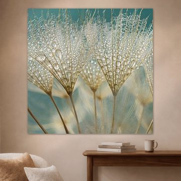 Turquoise / Petrol vierkant: Druppels gevangen in de pluis van een goudkleurige Tragopogon van Marjolijn van den Berg