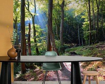 Herbstwald  bei Nebel