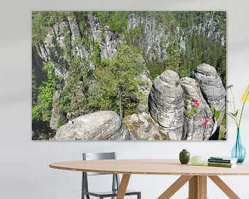 Rotsen bij de Bastei in het Elbezandsteengebergte in Saksisch Zwitserland in de lente van Animaflora PicsStock