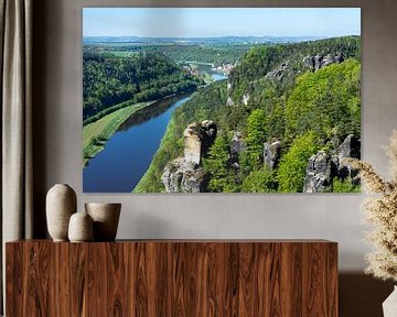 Uitzicht op de Elbe met de rotsen van de Bastei in het Elbezandsteengebergte in Saksen van Animaflora PicsStock