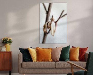 Stilleven van een uitgebloeide magnolia.