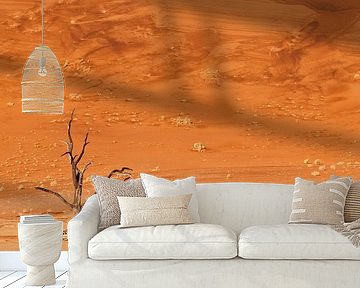 Dead tree in the Deadvlei by Damien Franscoise