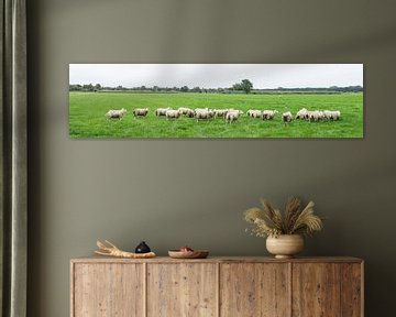 Sheep in meadow by Leoniek van der Vliet
