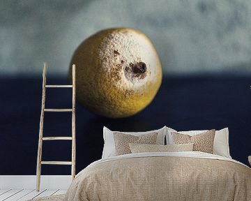 Stilleben einer verschimmelten Zitrone von André Blom Fotografie Utrecht