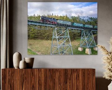 De Fichtelbergspoorweg op het Hüttenbachviaduct van t.ART