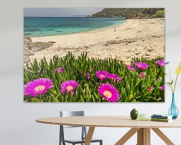 Flowers on a dream beach by Peter Schickert