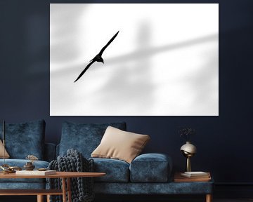 Seagull flying silhouette von Jan Brons