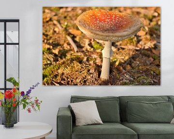 Rode paddestoel in de herfst 3 van Erika van Elst