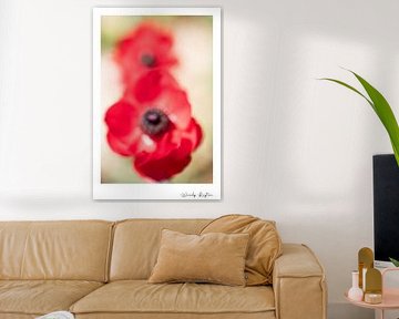 Flower Wisdom von Wendy Leyten