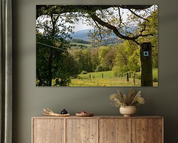 Vue sur les montagnes sur Suzanne Schoepe