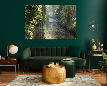 Licht in der Natur von Nadia Feys