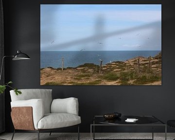 Seagulls on the Red Cliff on Sylt by Martin Flechsig