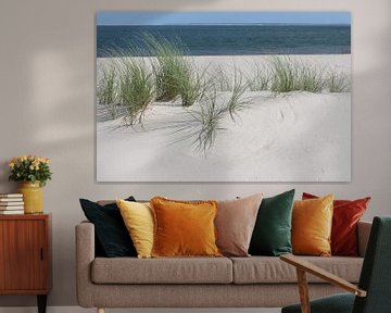 Dünengras im Ellenbogen bei List auf Sylt