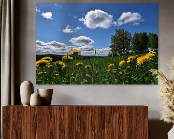 Wildflowers in spring by Claude Laprise