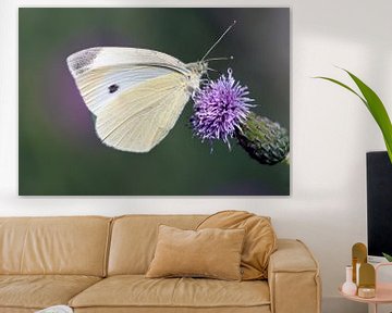 Witte vlinder van Maurice de vries