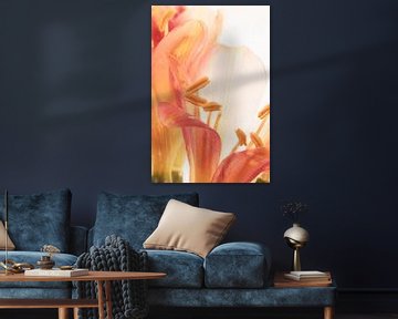 Clivia in ijs 2 van Marc Heiligenstein