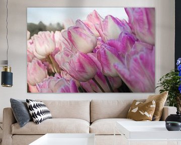 tulips from the polder by Marieke Brouwers