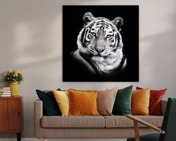 Tiger Porträt von Jacky