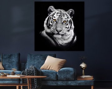 Tiger Portrait by Jacky