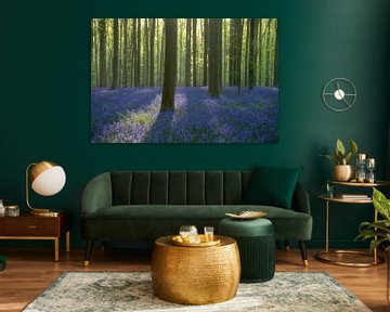 Ochtendmagie in het Hallerbos: zonsopgang boven de zee van blauwe hyacintenbloemen van Rolf Schnepp