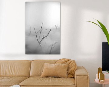 Dead trees rise above the veil of mist by Besa Art