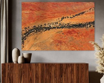 Trees along a dry river through Australia's arid outback desert