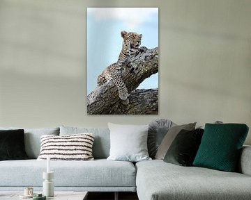 Beauty of the Serengeti