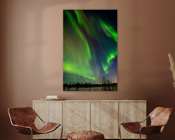 Dans of the Northernlights van Jelle Bakker