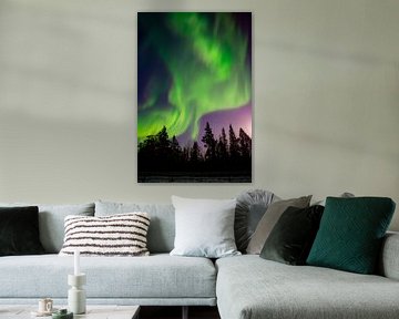 Dans of the Northernlights 2 van Jelle Bakker