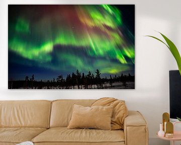 Dans of the Northernlights 3 van Jelle Bakker