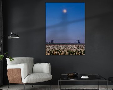 Windmills and tulips accompanied by the moon. by Jelle Bakker