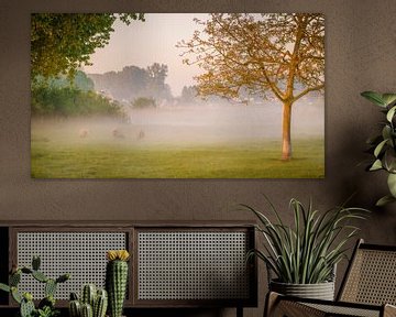 Schapen in de mist. van Pieter van Roijen