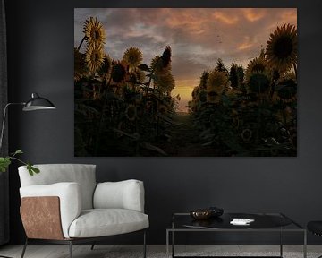Veld met rechtopstaande zonnebloemen bij zonsondergang van Besa Art