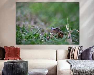 Frog in the grass by NatureBliss