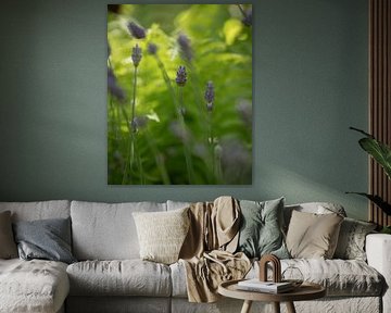 La danse en vert sur Studio Liefkoos