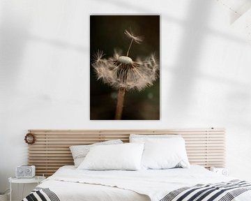 Release by Studio Liefkoos