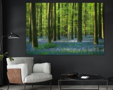 Ochtendlicht in het Hallerbos - boshyacinten in het lentebos van Rolf Schnepp