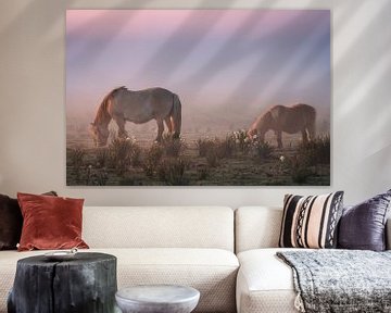 Wilde paarden grazen bij zonsopgang in een mistig veld, Noord-Holland, Nederland van Arda Acar
