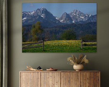 De poort aan de voet van de Alpen