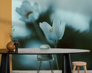 Zwischen Atem und Stille