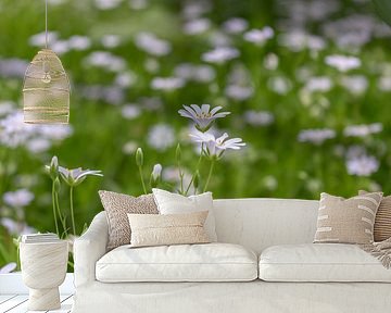 Kippenkruid - Stellaria holostea van Mixed media vector arts