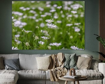 Kippenkruid - Stellaria holostea van Mixed media vector arts