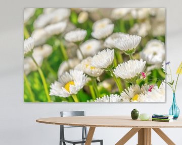 Bellis Perennis - Madeliefje van Mixed media vector arts