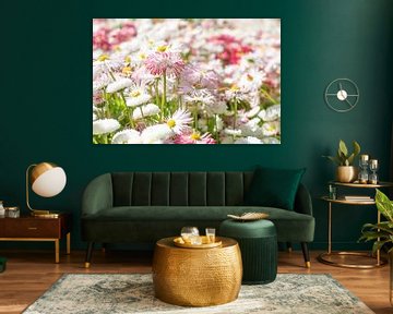 Bellis Perennis - Madeliefje van Mixed media vector arts