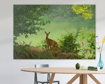 Reegeit in groen