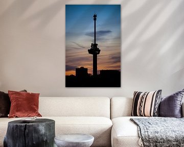 E U R O M A S T van SVFotografie