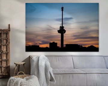 E U R O M A S T van SVFotografie